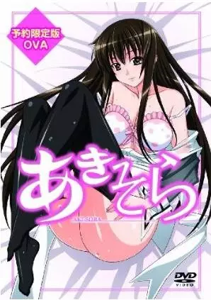 Poster for Aki-Sora