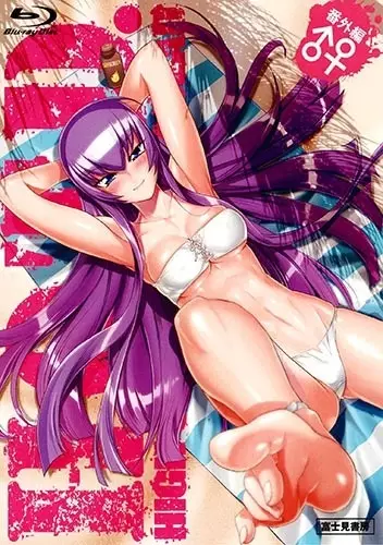 Poster for Highschool of the Dead: Drifters of the Dead