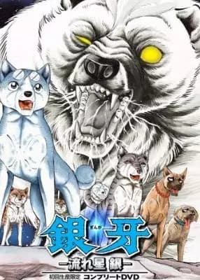 Poster for Ginga Nagareboshi Gin