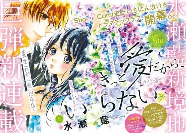 Picture 1 for Kitto Ai dakara, Iranai