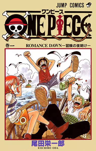 Cover for One Piece
